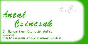 antal csincsak business card