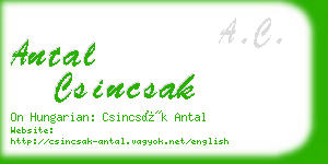 antal csincsak business card